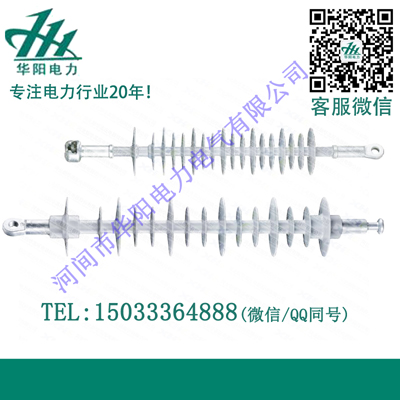 雙絕緣棒形懸式復合絕緣子